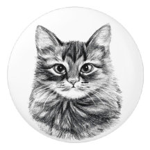 Potlood Tekenbak kattenbakken