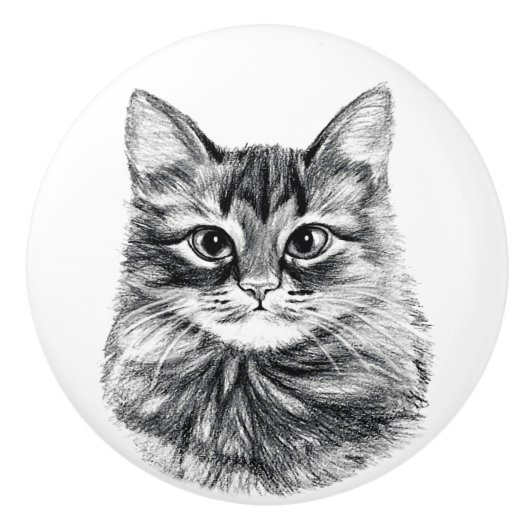 Potlood Tekenbak kattenbakken Keramische Knop (Voorkant)