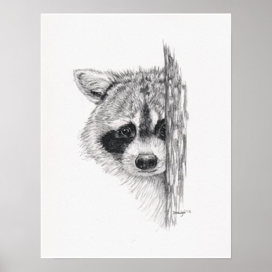 Potlood Tekening 'Peking Raccoon' Poster (Voorkant)