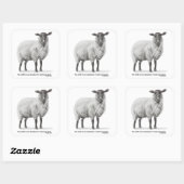 Potlood tekening schapen vierkante sticker (Vel)