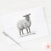 Potlood tekening schapen vierkante sticker (Envelop)