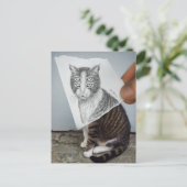 Potlood Vs Camera - 4 Eyes Cat Briefkaart (Staand voorkant)