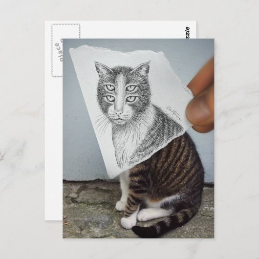 Potlood Vs Camera - 4 Eyes Cat Briefkaart (Voorkant / Achterkant)