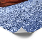 Potlood Vs Camera - Crow Poster (Hoek)