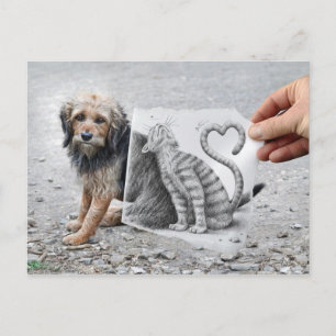 Potlood Vs Camera - Dog en Cat Briefkaart