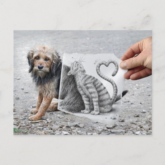 Potlood Vs Camera - Dog en Cat Briefkaart (Voorkant)