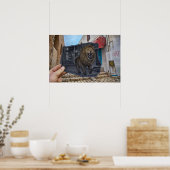 Potlood Vs Camera - Mighty Lion Poster (Keuken)