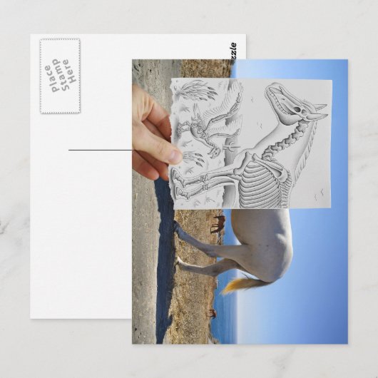 Potlood Vs Camera - X-Ray Briefkaart (Voorkant / Achterkant)