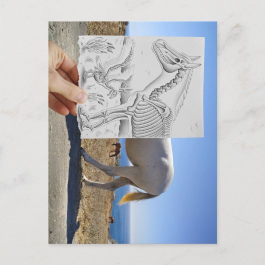 Potlood Vs Camera - X-Ray Briefkaart (Voorkant)