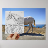 Potlood Vs Camera - X-Ray Poster (Voorkant)