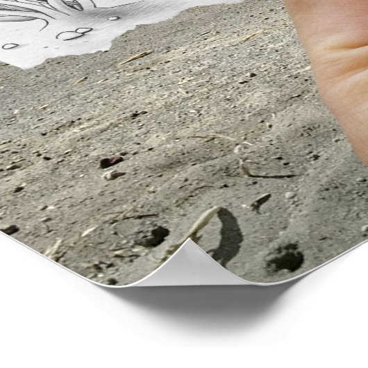 Potlood Vs Camera - X-Ray Poster (Hoek)