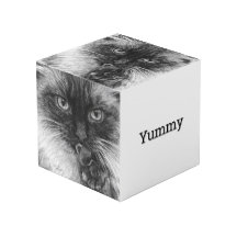 Potloodschets van kat in kubus