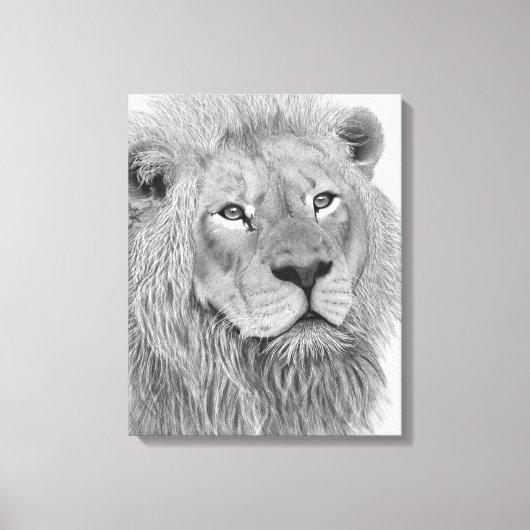 Potloodtekening van een mannelijke Afrikaanse leeu Canvas Afdruk (Voorkant)