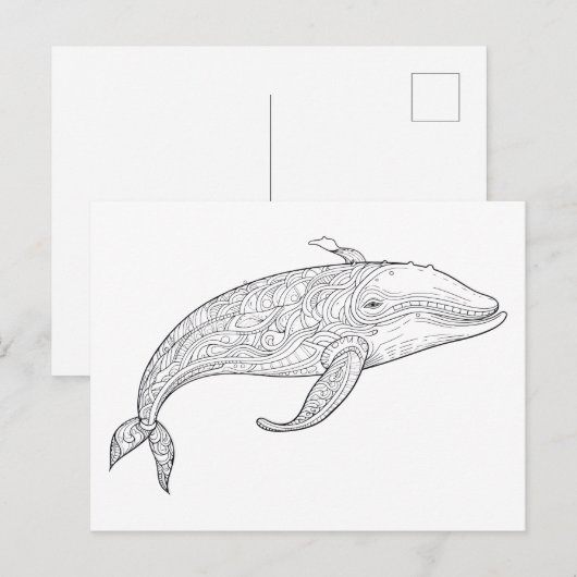 Potloodtekening van een walvis. briefkaart (Voorkant / Achterkant)