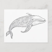 Potloodtekening van een walvis. briefkaart (Voorkant)