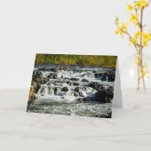 Potomacrivier, Great Falls Park Kaart (Gele Bloem)