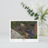 Potpourri-afdrukken Briefkaart (Staand voorkant)