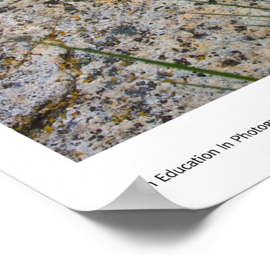 Potpourri-afdrukken Poster (Hoek)