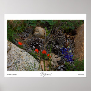 Potpourri-afdrukken Poster