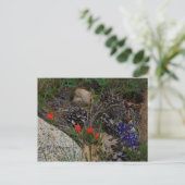 Potpourri Briefkaart (Staand voorkant)