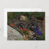 Potpourri Briefkaart (Voorkant / Achterkant)