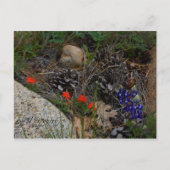 Potpourri Briefkaart (Voorkant)