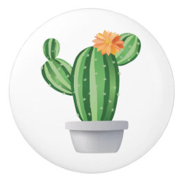 Potprickly Pear Keramische Knop