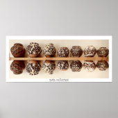 Pots Reflected, poster (Voorkant)