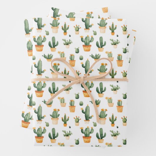 Potted Cactus op wit Inpakpapier Vel (In situ)