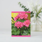 "Potted Coral Pink Geraniums" Notities en zegels (Staand voorkant)