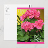 "Potted Coral Pink Geraniums" Notities en zegels (Voorkant / Achterkant)