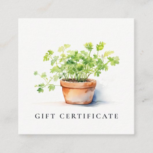 Potted Herb Peterselie Koriander Gift Certificaat (Voorkant)