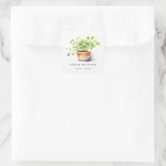 Potted Herb Peterselie Koriander Waterverf Botanis Vierkante Sticker (Tas)