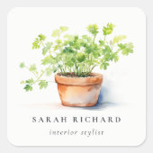 Potted Herb Peterselie Koriander Waterverf Botanis Vierkante Sticker (Voorkant)