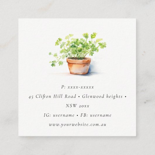 Potted Herb Peterselie Koriander Waterverf Botanis Vierkante Visitekaartje (Achterkant)