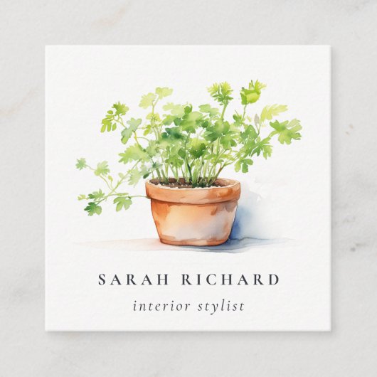Potted Herb Peterselie Koriander Waterverf Botanis Vierkante Visitekaartje (Voorkant)