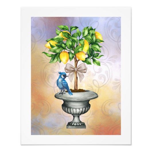 Potted Lemon Tree Poster (Voorkant)