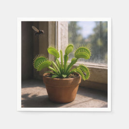 Potted Venus Flytrap Plant With Flies Servet