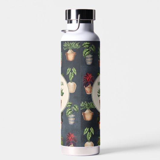 Potten Planten Terracotta Pots Rustiek Waterfles (Rechts)