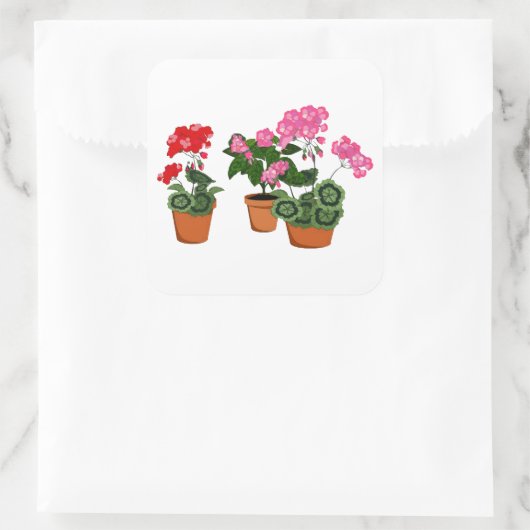 Potten van Geraniums Vierkante Sticker (Tas)