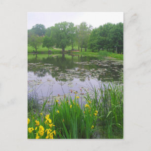 Potter Lake in Lawrence, Kansas, Briefkaart