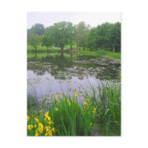 Potter Lake in Lawrence, Kansas, Briefkaart