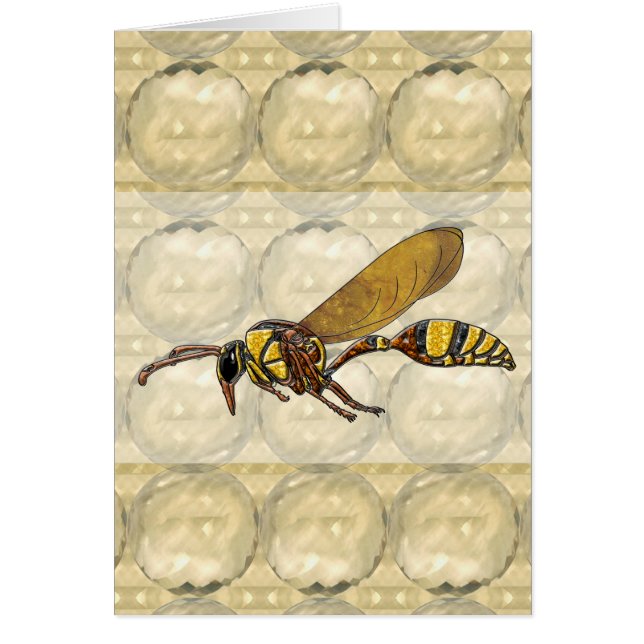 Potter Wasp (Voorkant)