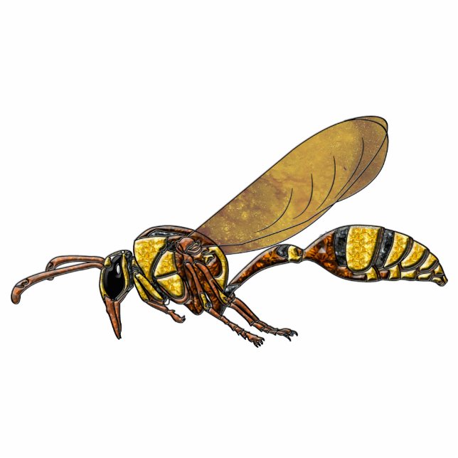 Potter Wasp Staand Fotobeeldje (Voorkant)