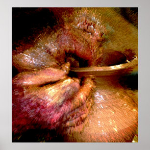 Potter's Hands #2 Poster