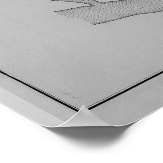 Pottstown Borough Map PA Pennsylvania 1871 Poster (Hoek)