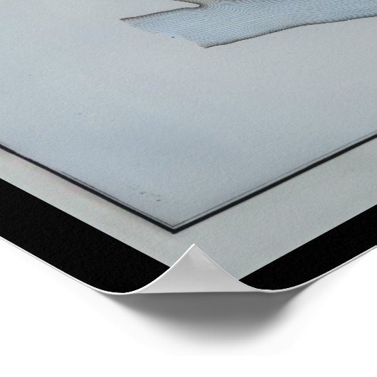 Pottstown Borough Map PA Pennsylvania 1871 Poster (Hoek)