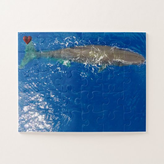 Potvis Legpuzzel (Horizontaal)