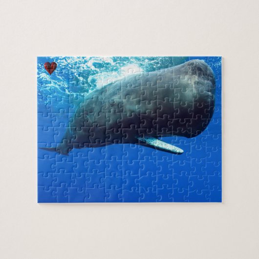 Potvis Legpuzzel (Horizontaal)