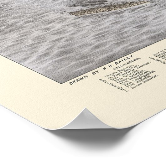 Poughkeepsie, NY Panoramic Map - 1874 Poster (Hoek)